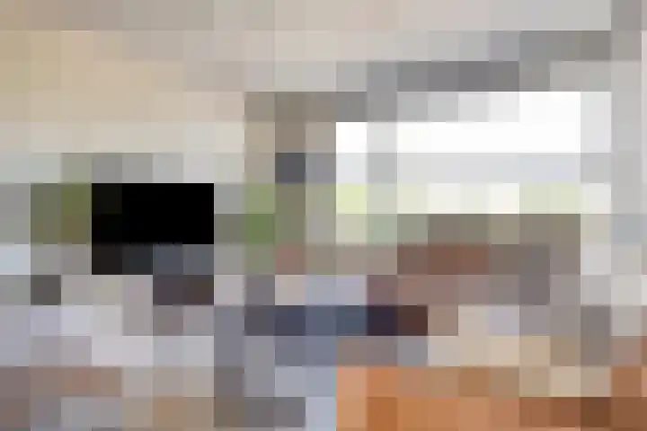 Nemerlaerhof 92 Helmond thumbnail 10