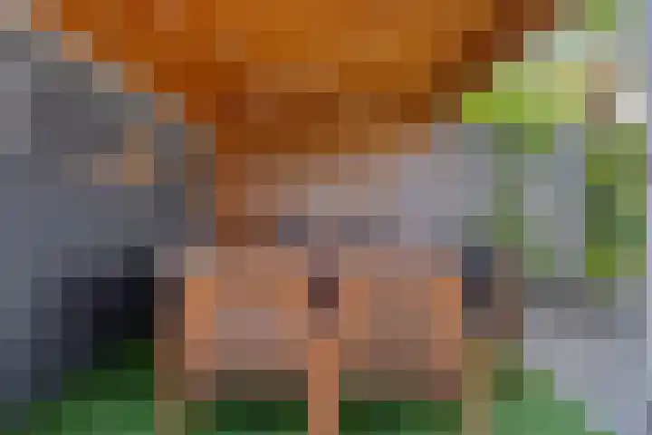 Nemerlaerhof 92 Helmond thumbnail 32