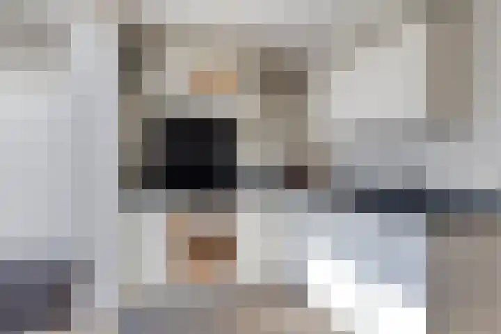 Nemerlaerhof 92 Helmond thumbnail 4