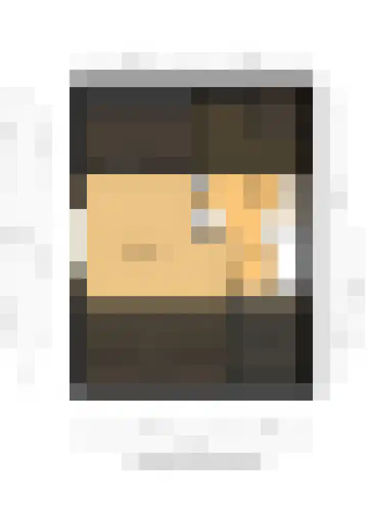 Neptunus 14 in Hapert