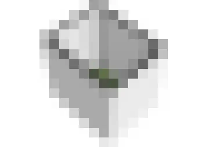 Neptunuskade 221 Leiden thumbnail 34