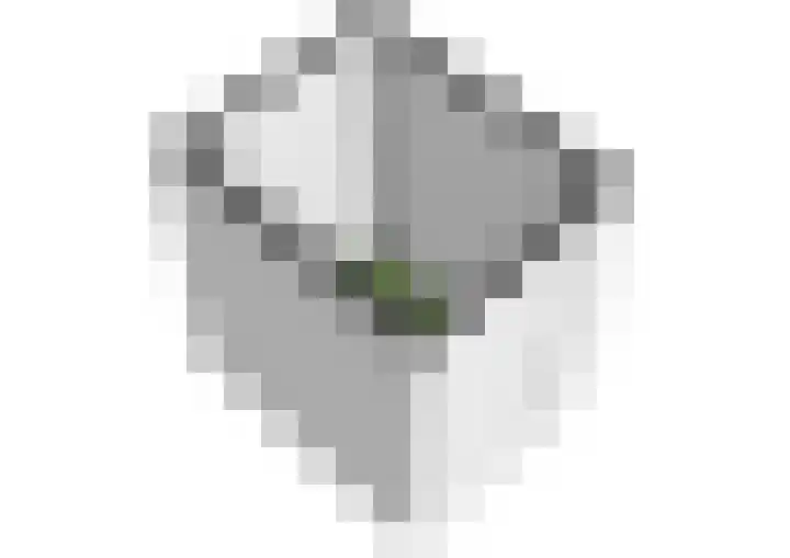Neptunuskade 221 Leiden thumbnail 35