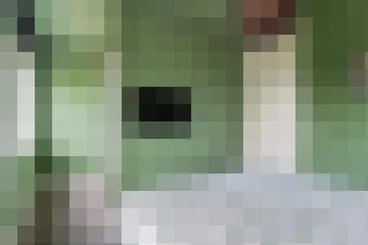 Neptunussingel 36 Almere thumbnail 13