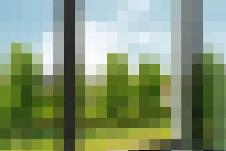 Neptunussingel 36 Almere thumbnail 17