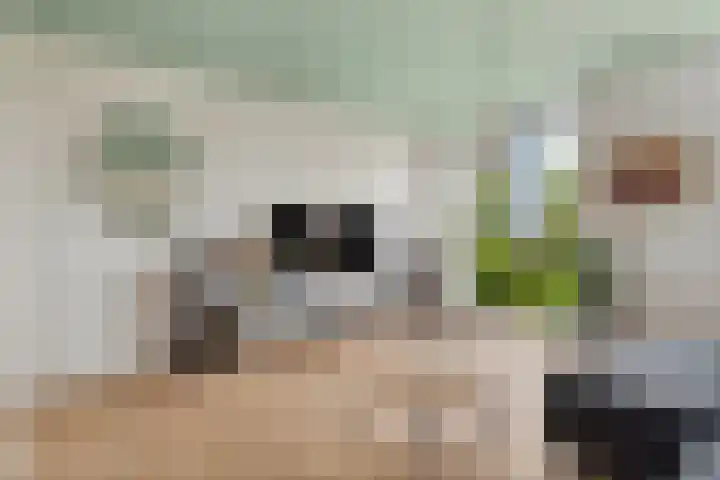 Neptunussingel 36 Almere thumbnail 21