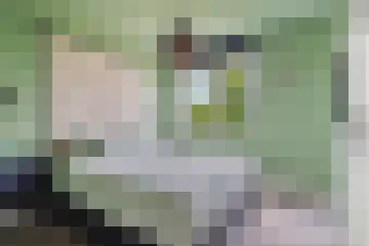Neptunussingel 36 Almere thumbnail 4