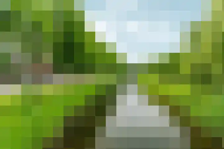 Neptunussingel 36 Almere thumbnail 42