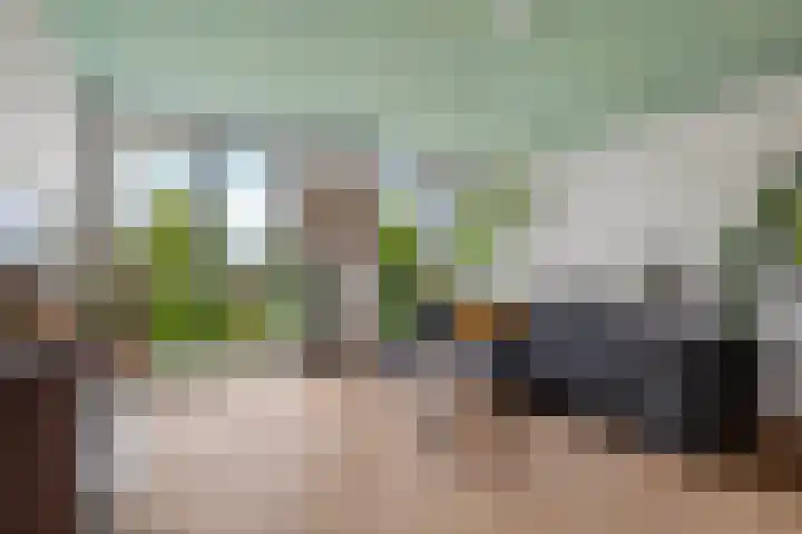 Neptunussingel 36 Almere thumbnail 48