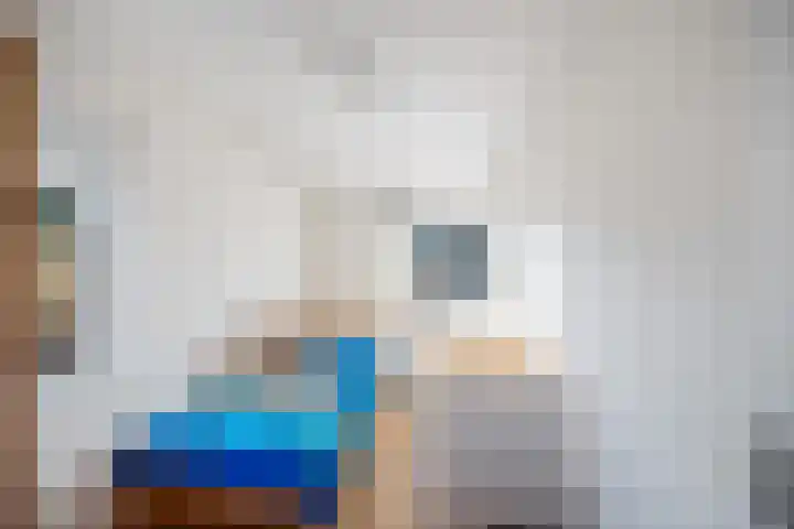 Neptunusstraat 29 Groningen thumbnail 27