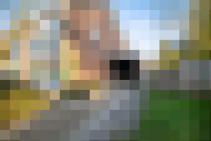 Neptunusstraat 29 Groningen thumbnail 35