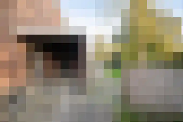Neptunusstraat 29 Groningen thumbnail 6