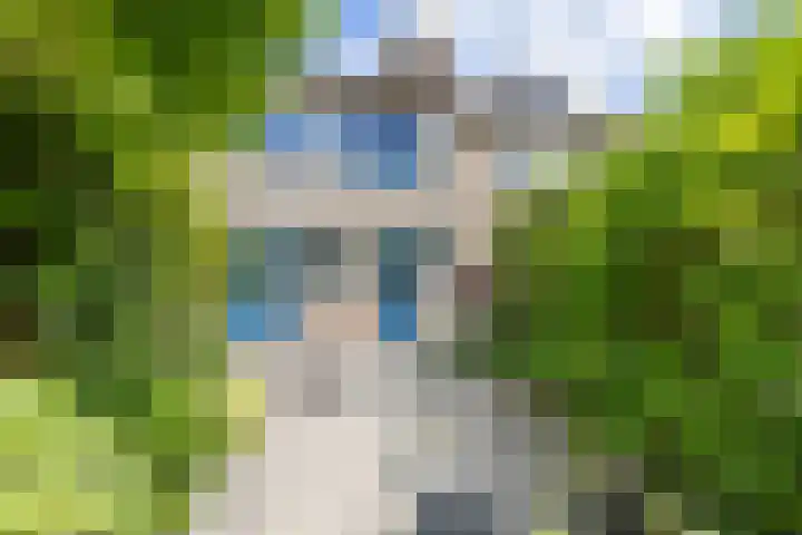 Neptunusstraat 4 Groningen thumbnail 31
