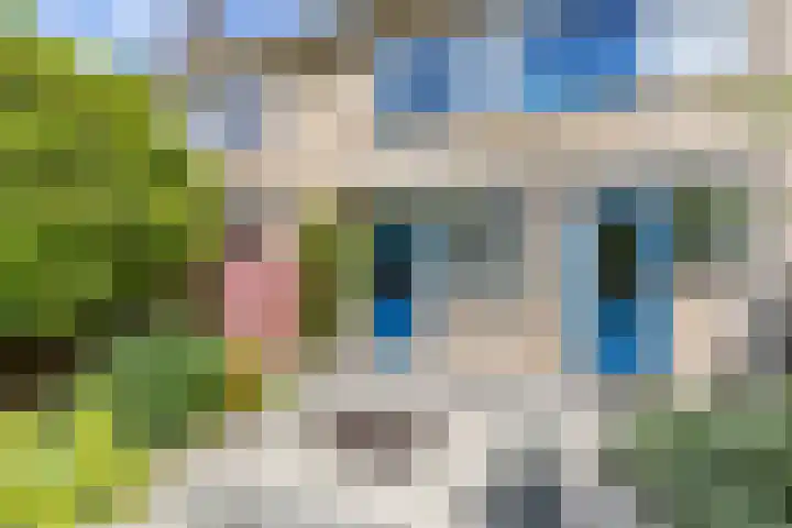 Neptunusstraat 4 Groningen thumbnail 32