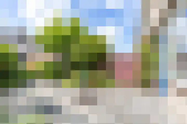 Neptunusstraat 4 Groningen thumbnail 33