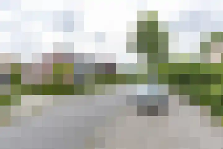 Neptunusstraat 4 Groningen thumbnail 36