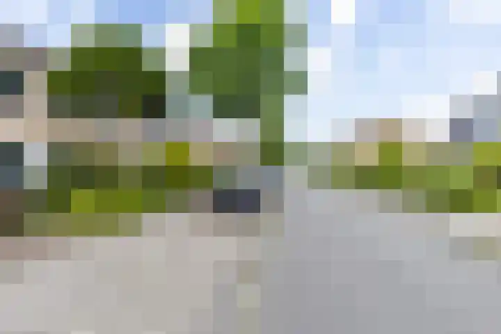 Neptunusstraat 4 Groningen thumbnail 37
