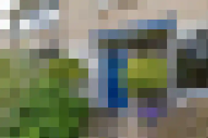 Neptunusstraat 4 Groningen thumbnail 5