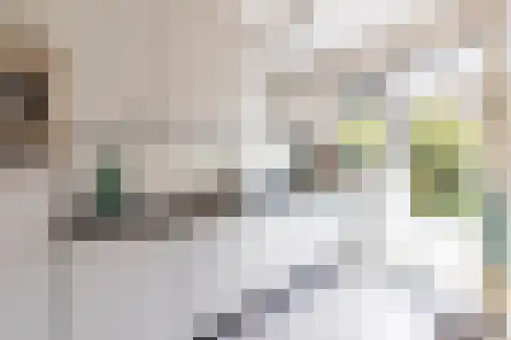 Neptunusstraat 4 Groningen thumbnail 9