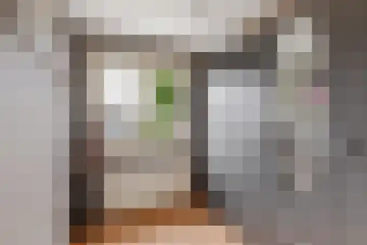 Neptunusstraat 6 Borne thumbnail 12