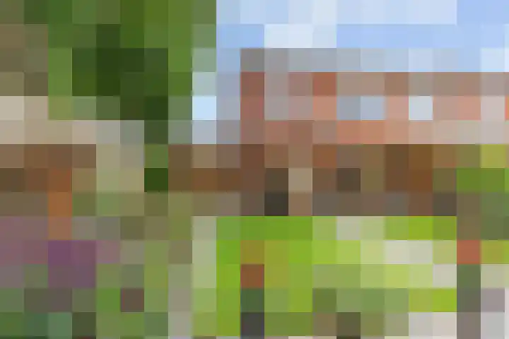 Neptunusstraat 6 Borne thumbnail 13