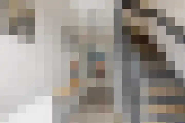 Neptunusstraat 6 Borne thumbnail 7