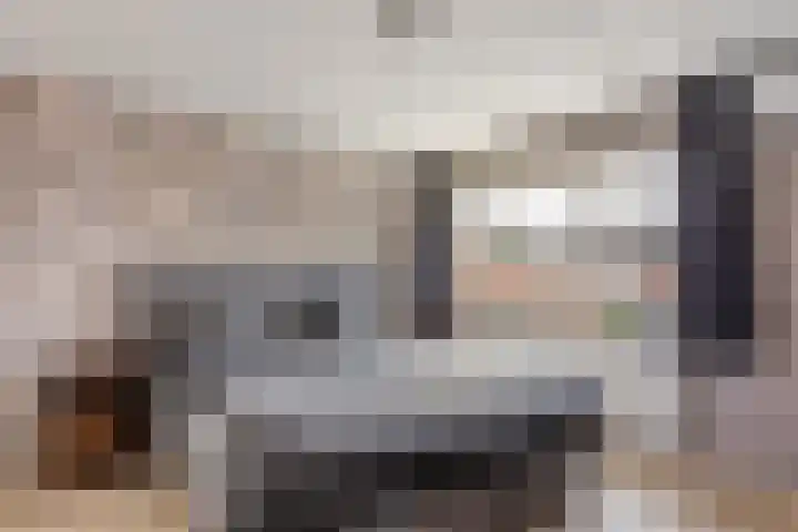 Neptunusstraat 6 Borne thumbnail 9