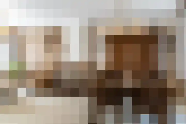 Nerhovensestraat 31 Gilze thumbnail 12