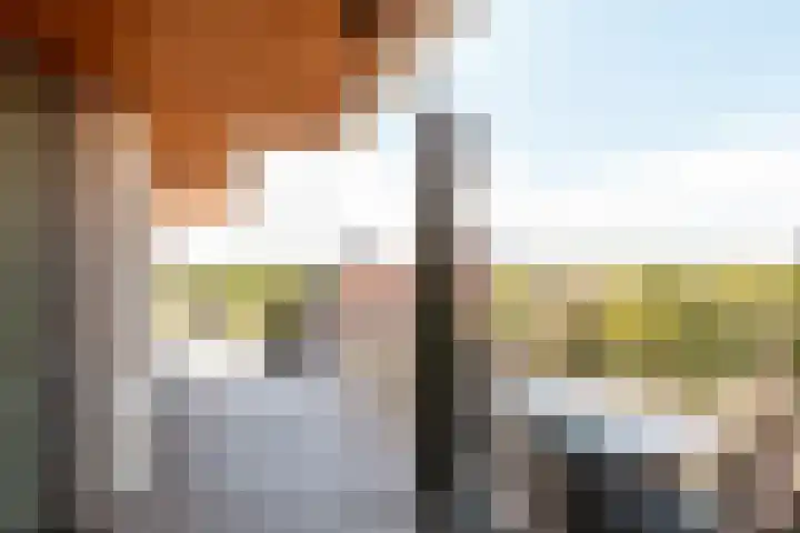 Neringweg 459 Lelystad thumbnail 37