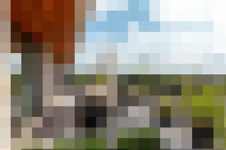 Neringweg 459 Lelystad thumbnail 40