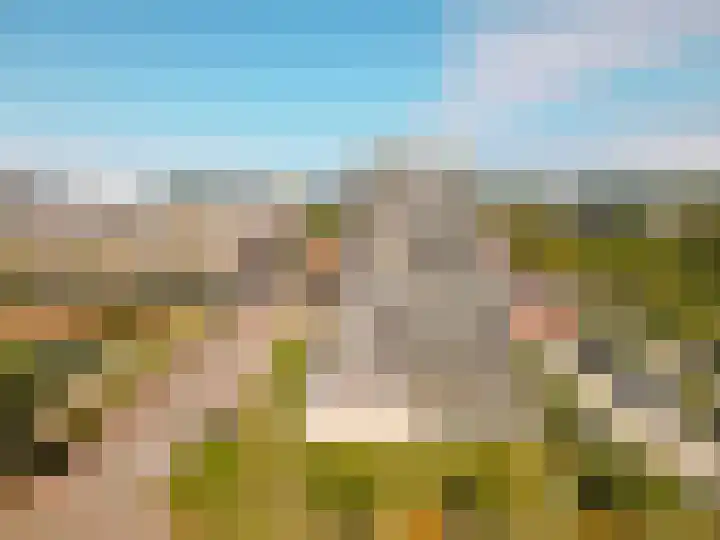 Neringweg 459 Lelystad thumbnail 47
