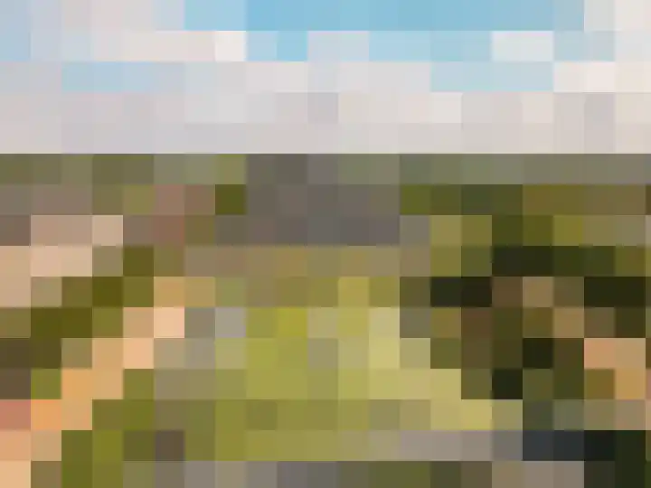 Neringweg 459 Lelystad thumbnail 48