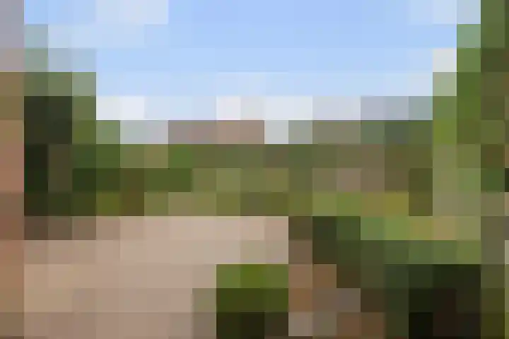 Nerus Wigmanhof 13 Didam thumbnail 12