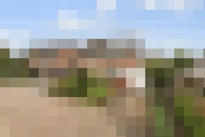 Nerus Wigmanhof 13 Didam thumbnail 25