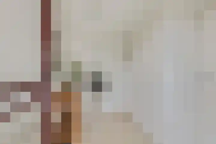 Nerus Wigmanhof 13 Didam thumbnail 4