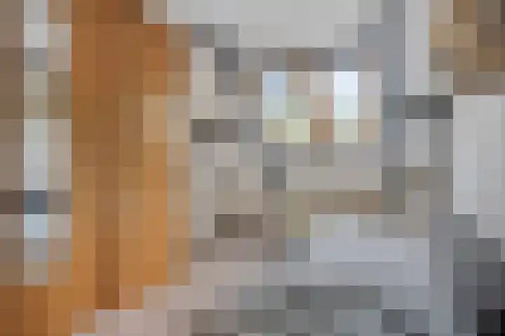 Nervalaan 97 Beuningen Gld thumbnail 15