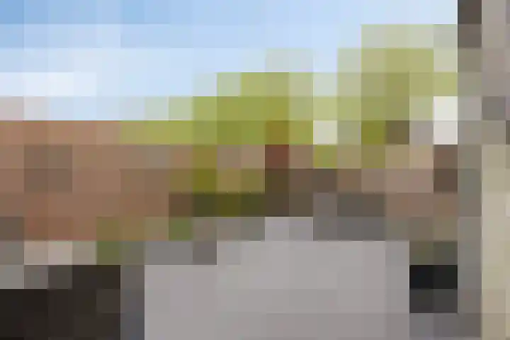 Nervalaan 97 Beuningen Gld thumbnail 25