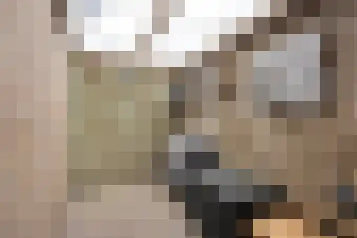 Nervalaan 97 Beuningen Gld thumbnail 26