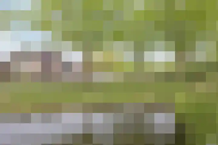 Nervalaan 97 Beuningen Gld thumbnail 27
