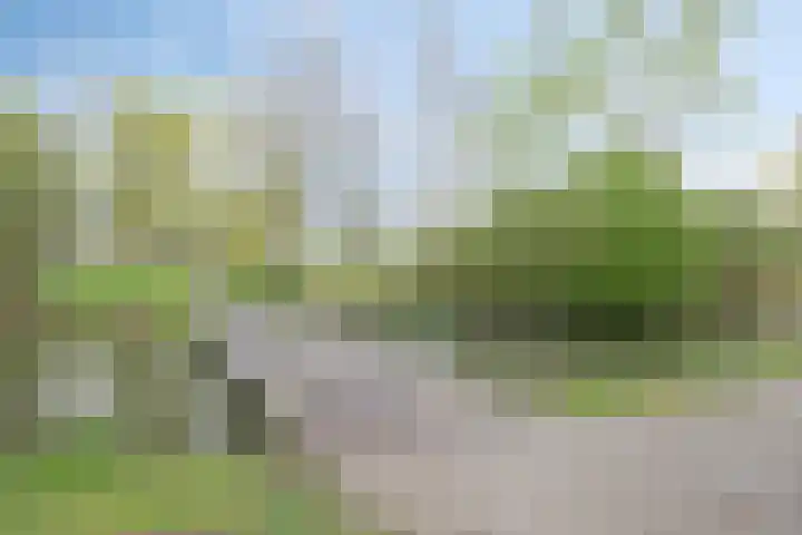 Nervalaan 97 Beuningen Gld thumbnail 28