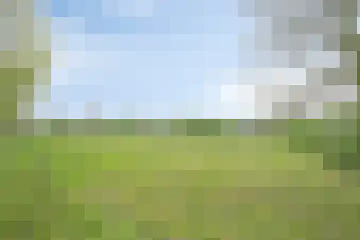 Nervalaan 97 Beuningen Gld thumbnail 29