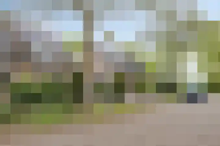 Nervalaan 97 Beuningen Gld thumbnail 32