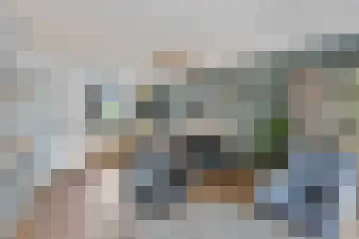 Nervalaan 97 Beuningen Gld thumbnail 5
