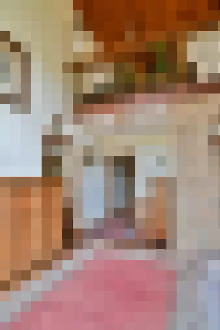 Nes 1 Vijfhuizen thumbnail 13