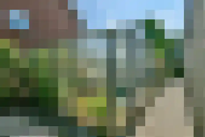 Nes 1 Vijfhuizen thumbnail 20