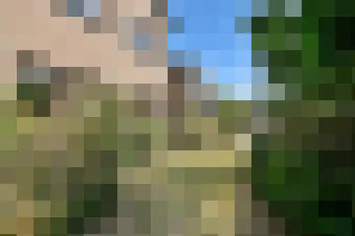 Nes 1 Vijfhuizen thumbnail 22
