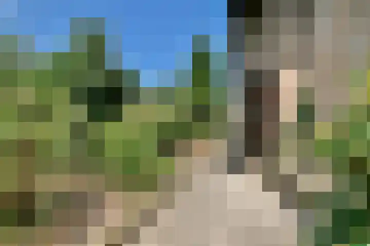 Nes 1 Vijfhuizen thumbnail 24