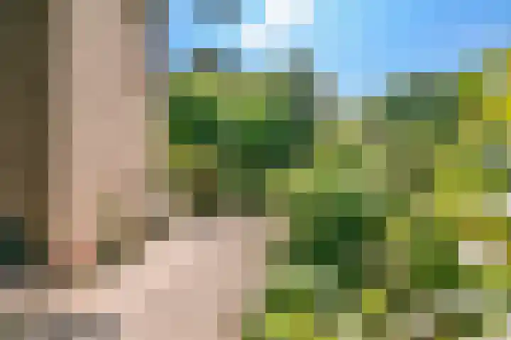 Nes 1 Vijfhuizen thumbnail 25