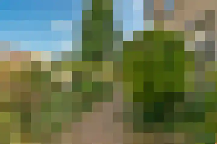 Nes 1 Vijfhuizen thumbnail 26