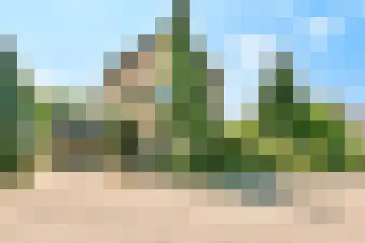 Nes 1 Vijfhuizen foto 3