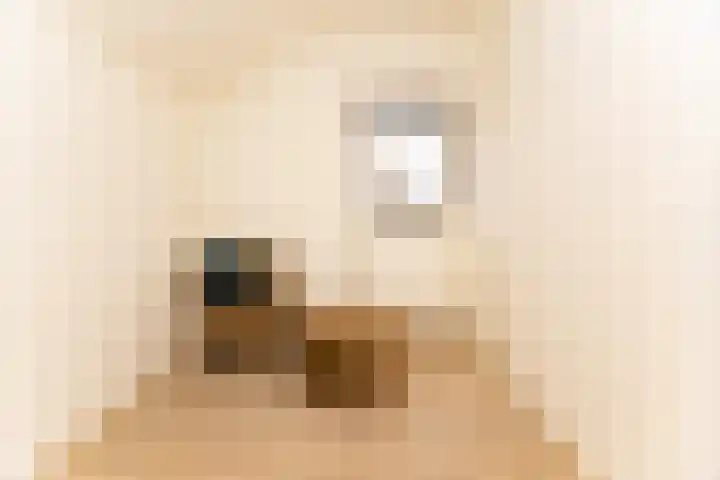 Nes 214 A Wervershoof thumbnail 22